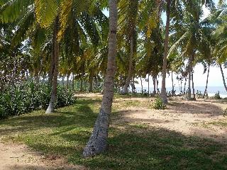 Darwins Beach Resort