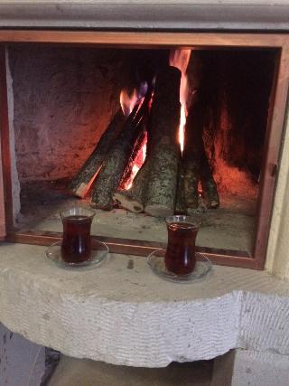 Alaturca House