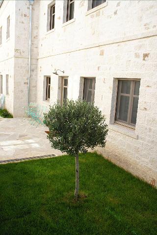 Haones Suites