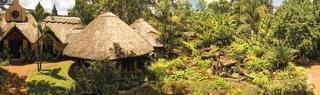 Amanzi Lodge