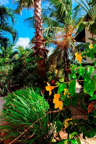 Goood Resort