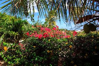 Goood Resort