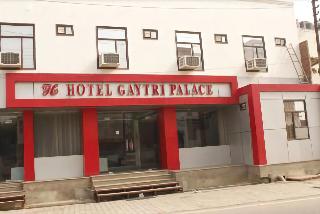 Hotel Gayatri Palace