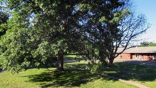 Gatehouse Motel