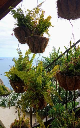 Les Terrasses Suites