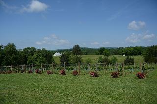 Woodville Bed And Breakfast
