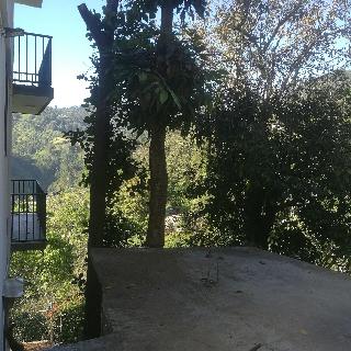 Viewfront Ella