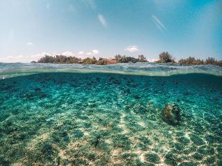 Gili Treehouses