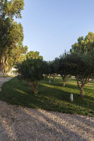 Eco Beach And Magic Garden