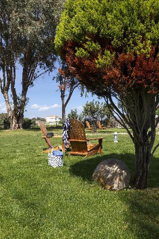 Eco Beach And Magic Garden