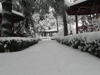 Hotel Baneasa Parc