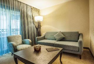 Cadence Design Hotel