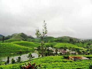 Hill Cool Hotel & Restaurant