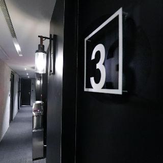 整體概覽