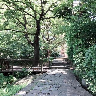 整體概覽