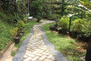 Marvel Hills Kandy