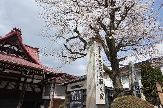 整體概覽
