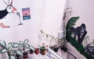 Puffin Hostel