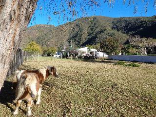 De Oude Meul Country Lodge