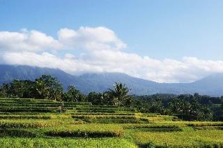 Ti Amo Bali