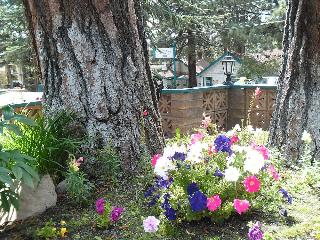 Lake Tahoe Ambassador Lodge