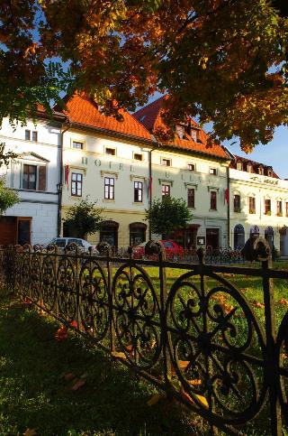 Hotel U Leva
