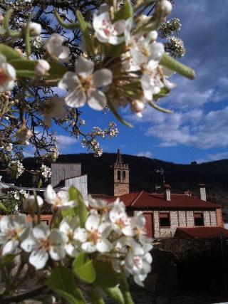 Hotel Rural La Casa de Pasarón
