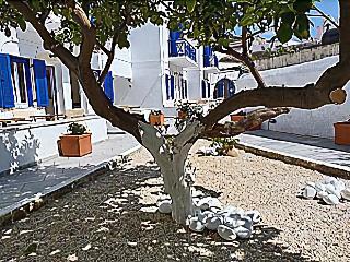 Captain Manolis Hotel