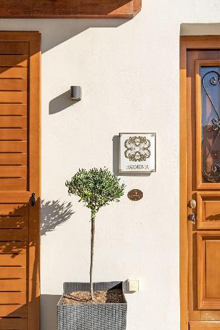 Belvedere Andros