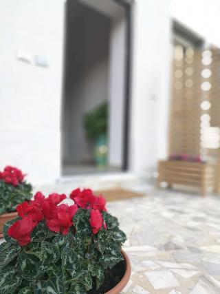 B&B da Francesco