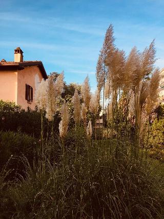 Il Giardino Segreto