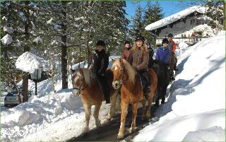 Hotel Garni Haus Alpine