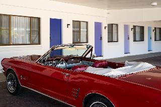 The Cubana Ballina