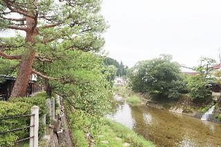 整體概覽