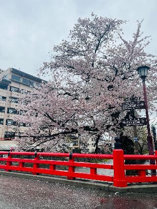 整體概覽
