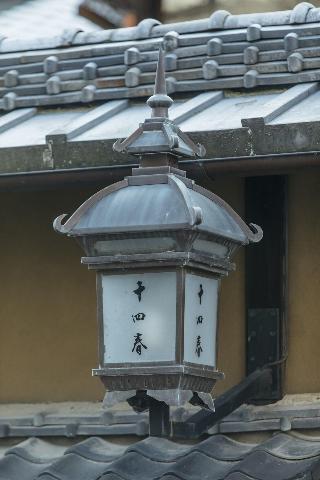 整體概覽