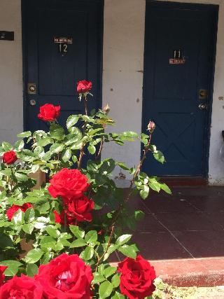 Townhouse Motel