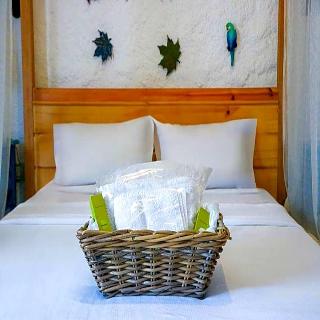 Cocopalm Boutique Hotel Alaa Ata