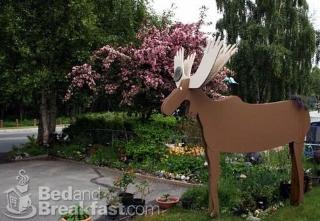 Anchorage Walkabout Town B B
