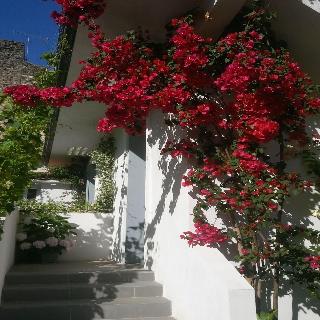 Le Clos Chez Michel