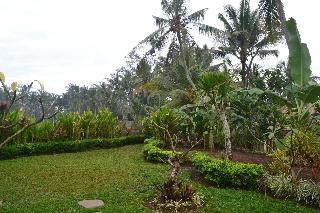 Buda Cottage Ubud
