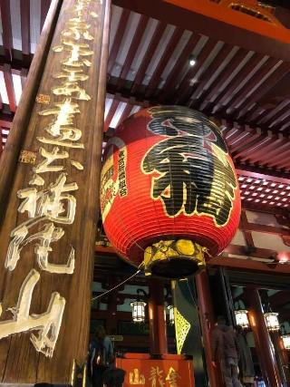 整體概覽