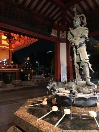 整體概覽