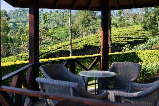 Ceylon Tea Trails All Inclusive