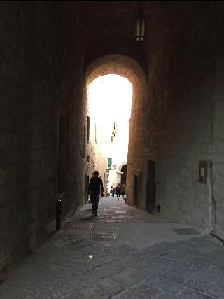 International Naples