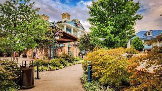 Margaritaville Island Hotel