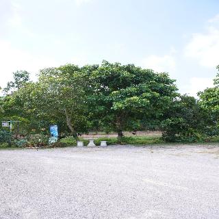 Go Green Resort