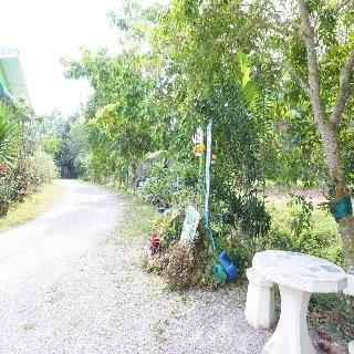 Go Green Resort