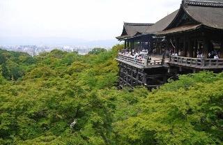整體概覽