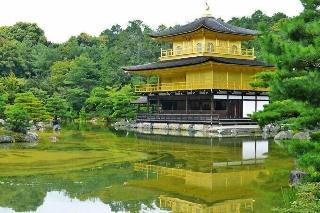 整體概覽